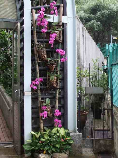 n_HongKong mei 2008 022.jpg